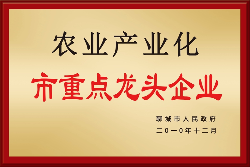 东阿生力源阿胶股份有限公司
