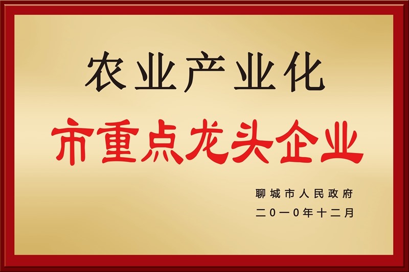 荣誉资质
